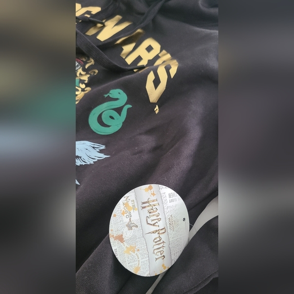 Gold Foil Harry Potter Hogwarts Hoodie - Picture 9 of 10
